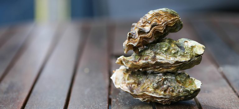 Raw oyster on wooden table with a close view